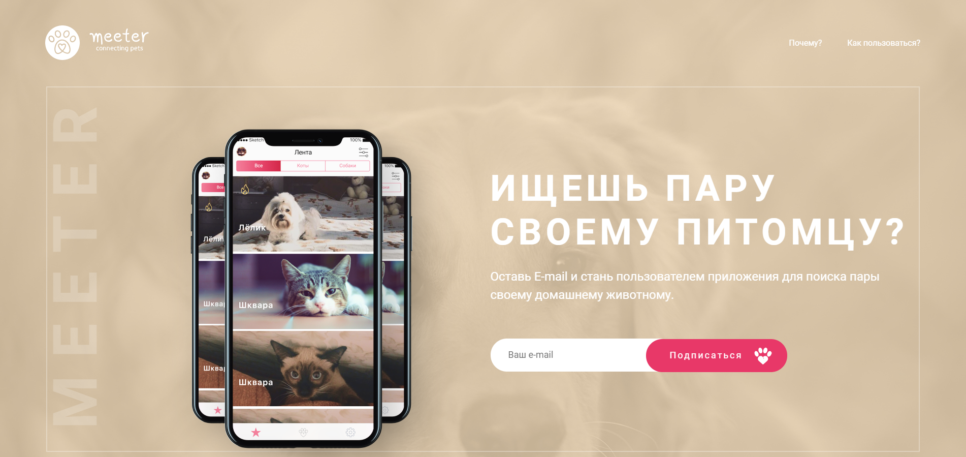 Дизайн промо-сайта, дизайн приложения для IOS