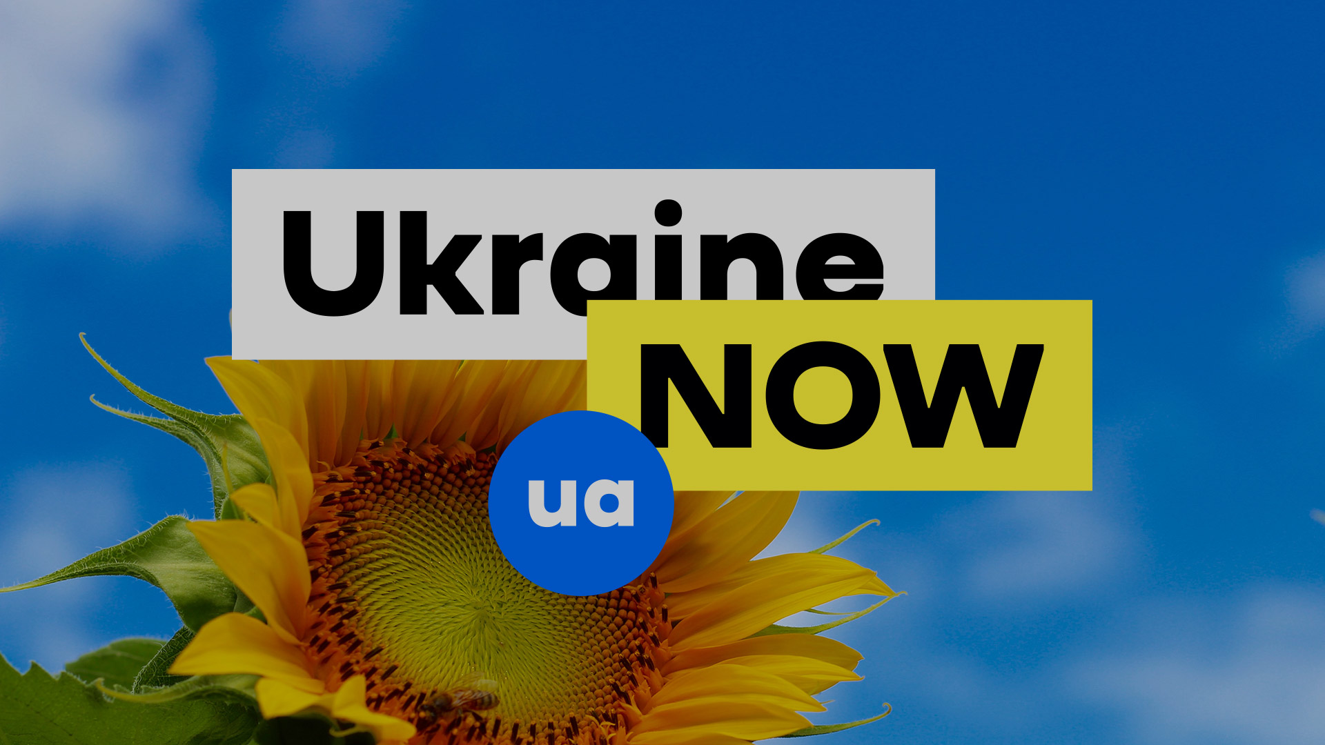 Ukraine NOW